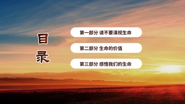 黄色阳光励志小学让生命之花绽放光彩生命教育主题班会PPT