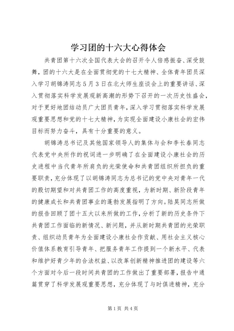 学习团的十六大心得体会.docx