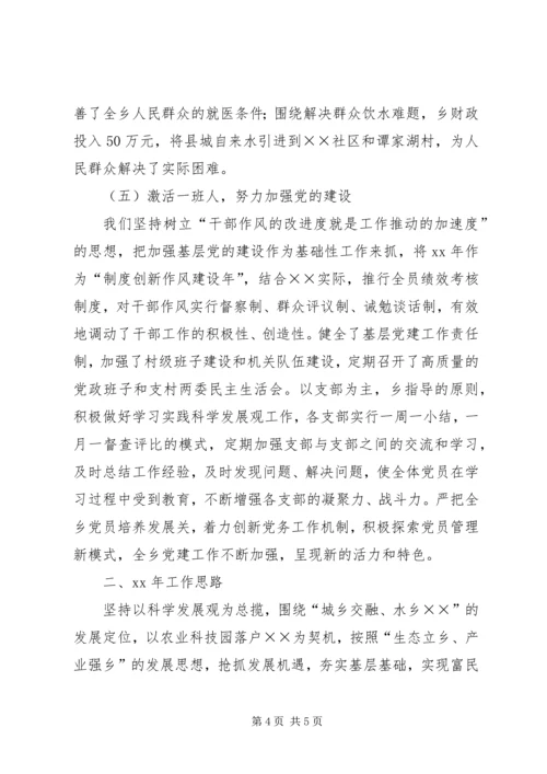 乡镇工作总结及工作规划总结.docx