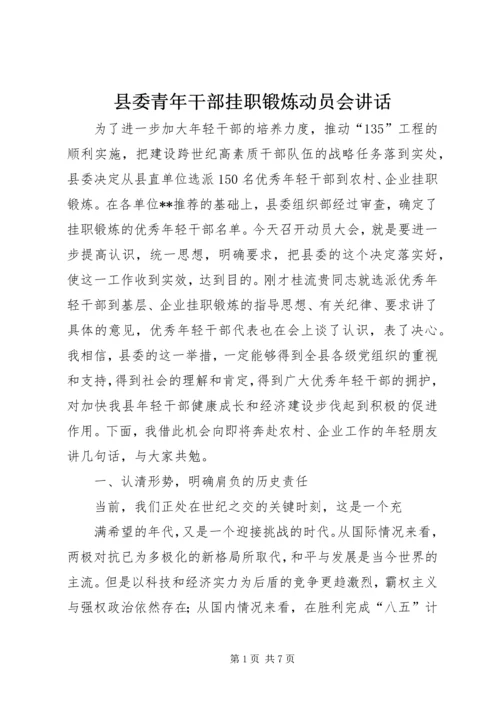 县委青年干部挂职锻炼动员会讲话.docx