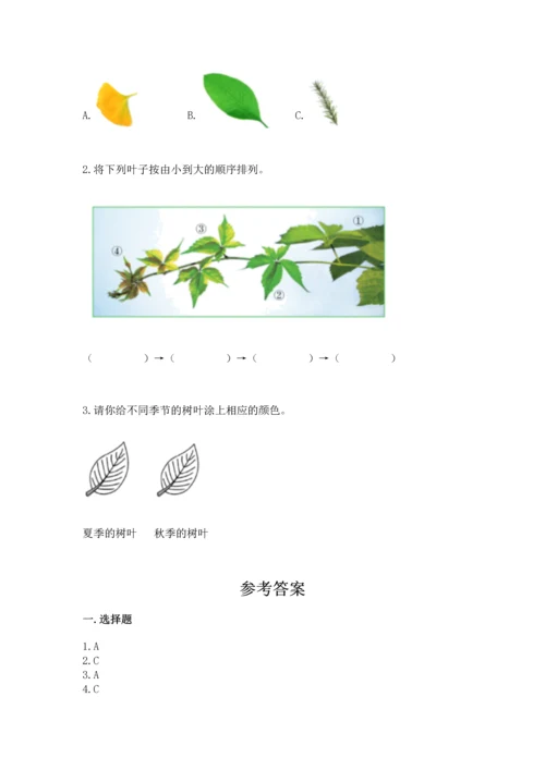 教科版科学一年级上册第一单元《植物》测试卷及答案（夺冠）.docx