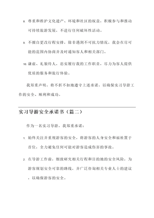 实习导游安全承诺书