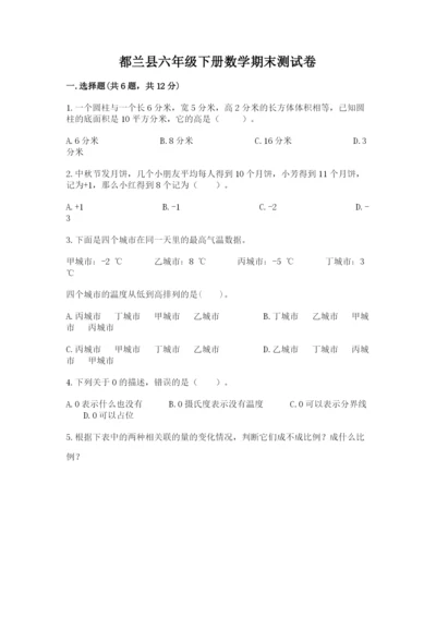 都兰县六年级下册数学期末测试卷审定版.docx