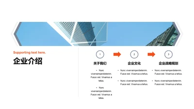 单色扁平3项企业介绍