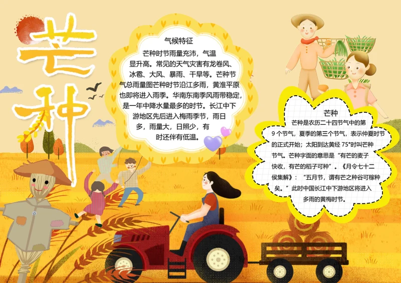 二十四节气芒种word小报