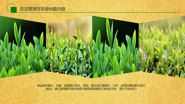 中国茶文化茶道展示茶知识PPT模板