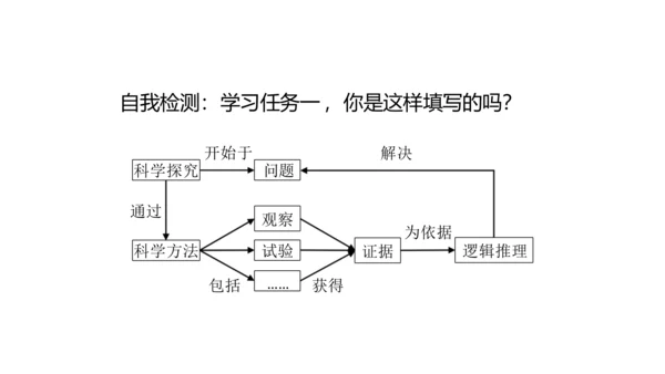 1.1.1 生物的特征 课件（共28张PPT）