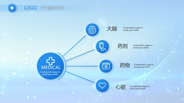 蓝色智慧医疗信息化建设工作总结PPT