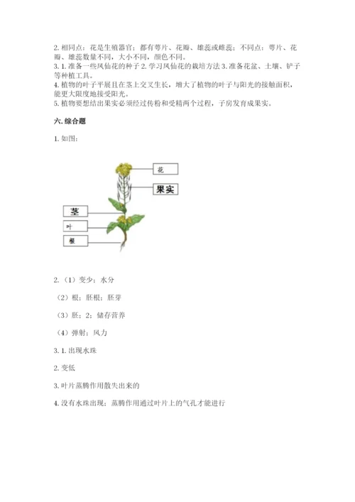 科学四年级下册第一单元植物的生长变化测试卷及完整答案【易错题】.docx