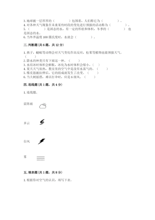 教科版三年级上册科学期末测试卷（实用）word版.docx