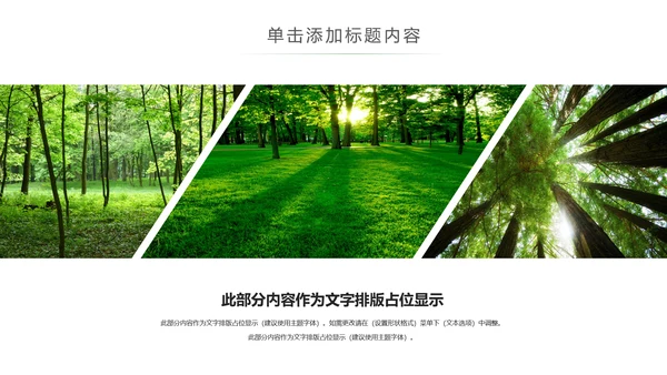 绿色环保森林湿地森林日植树造林动态PPT模