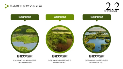 清新简约世界湿地森林日绿色环保PPT模板