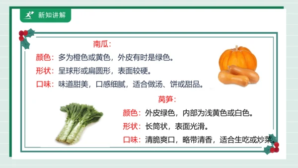 【核心素养目标】主题四 活动一《会爬的蔬菜》课件-【东北师大版】《劳动实践》二上