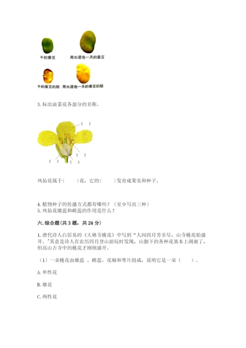 教科版四年级下册科学第一单元《植物的生长变化》测试卷含答案【精练】.docx