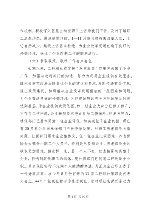 二轻年度总结及计划.docx