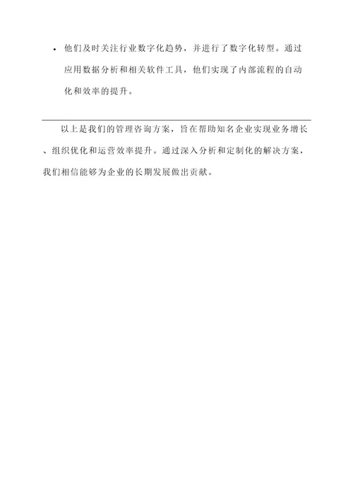 知名企业管理咨询方案