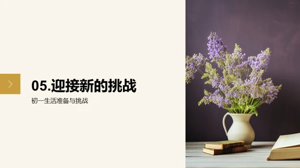 初一新篇章