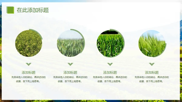乡村振兴精准扶贫，特色农业项目计划书通用PPT模板