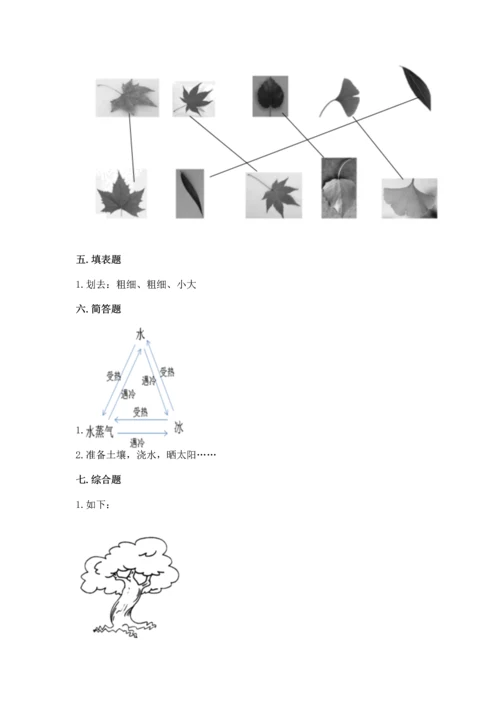 教科版科学一年级上册第一单元《植物》测试卷（突破训练）word版.docx