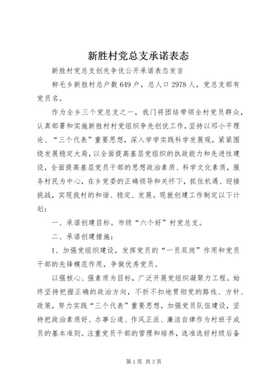 新胜村党总支承诺表态.docx