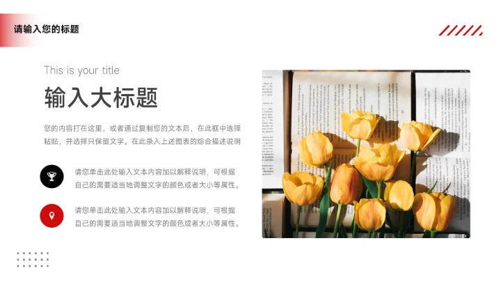 红色欧美暗系品牌营销策划PPT模板