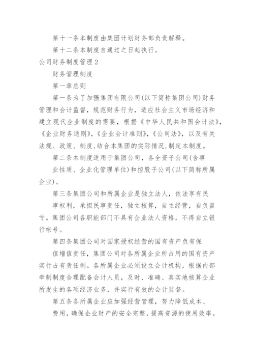 公司财务制度管理.docx