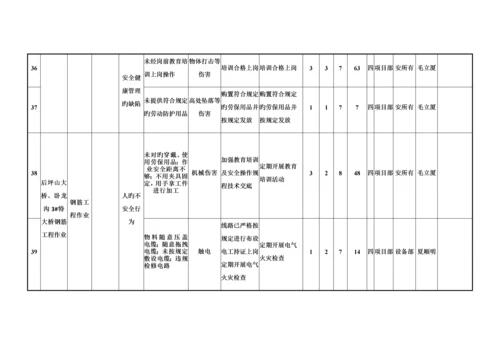 项目风险分级管控实施手册.docx