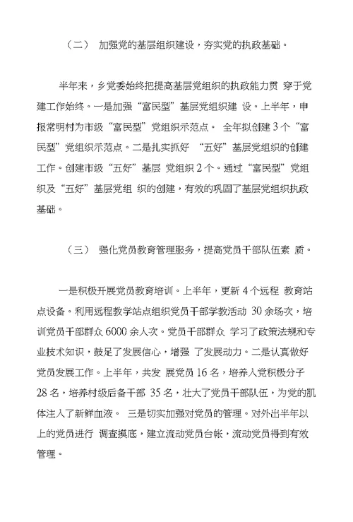 乡政府XX年半年工作总结及下半年工作打算