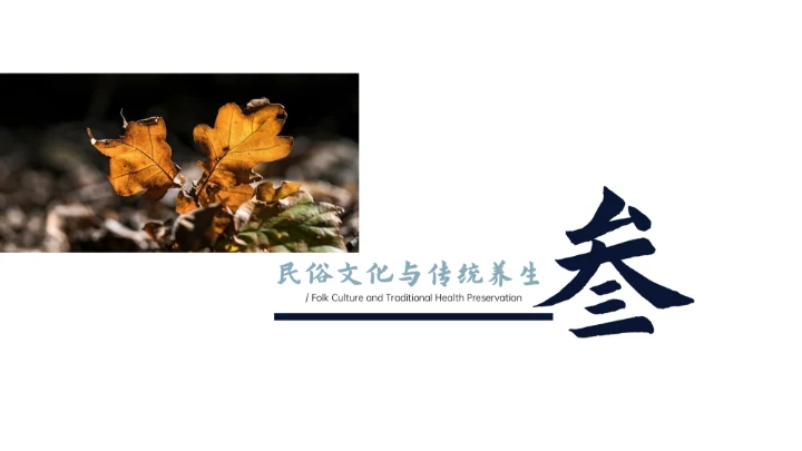 瓷青色简约风寒露节气PPT模版