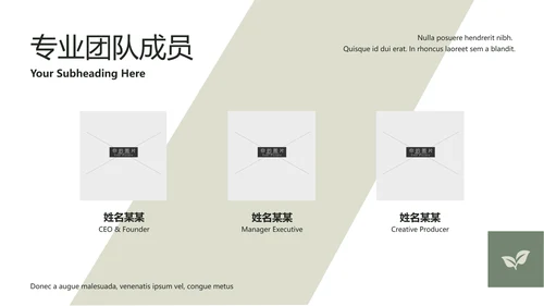 清新典雅绿茶果汁品牌茶文化宣传PPT模板