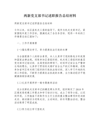 两新党支部书记述职报告总结材料.docx