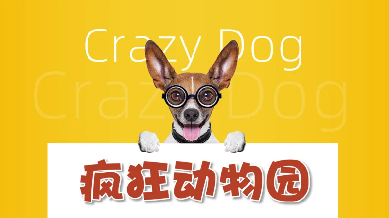 宠物狗疯狂动物园通用PPT模板