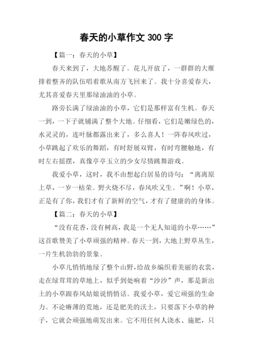春天的小草作文300字.docx