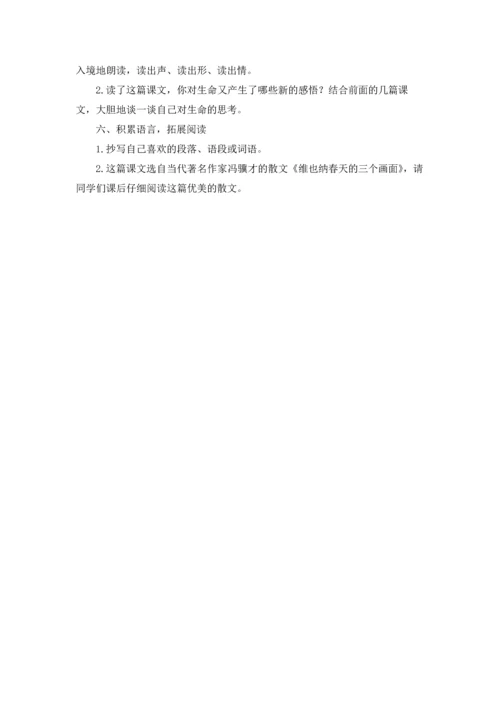 关于花的勇气教案3篇.docx