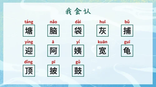 二年级上册第一课小蝌蚪找妈妈PPT模