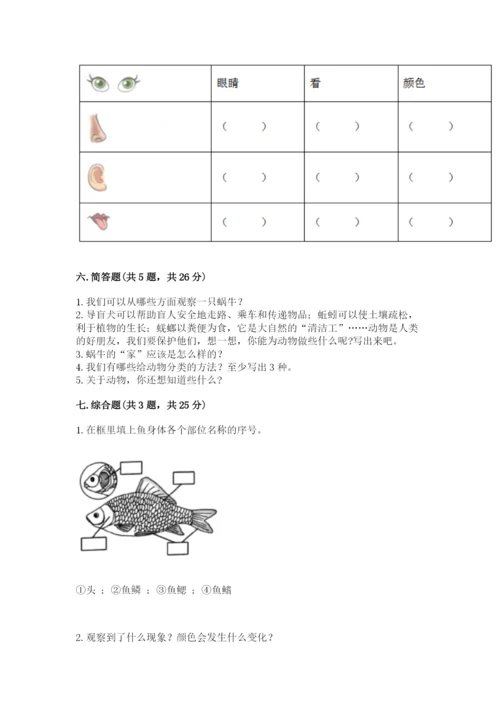 教科版一年级下册科学期末测试卷（综合卷）.docx