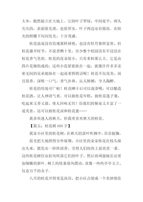 描写桂花样子的作文.docx
