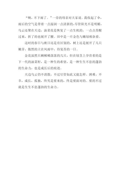 我与金花有个约会作文600字.docx