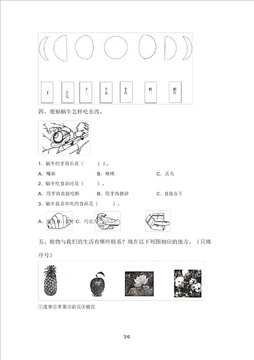 苏教版一年级科学上册期中模拟考试参考答案