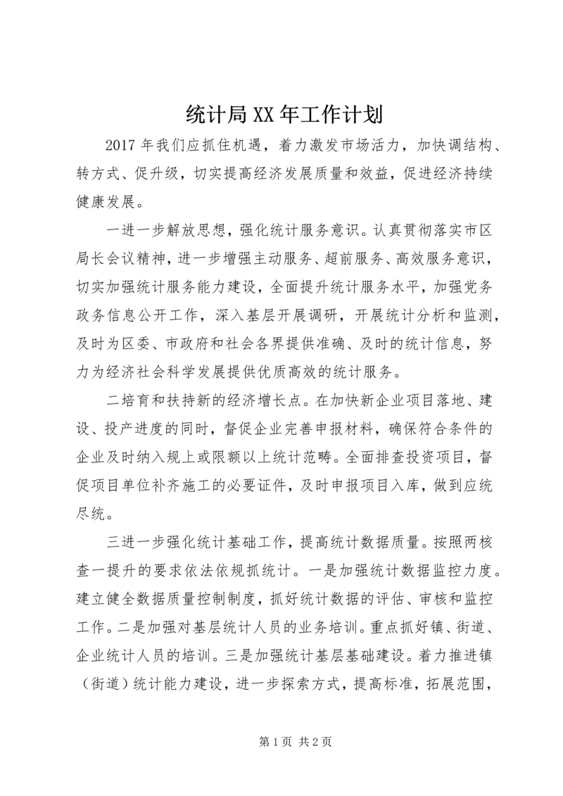 统计局XX年工作计划.docx
