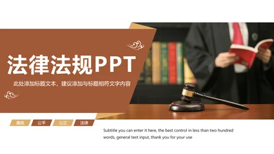 简约大气法律法规廉政文化动态PPT模板