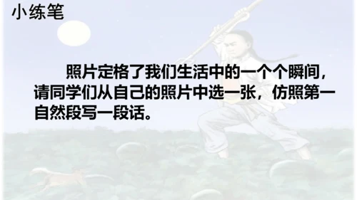 第25课 《少年闰土》  课件
