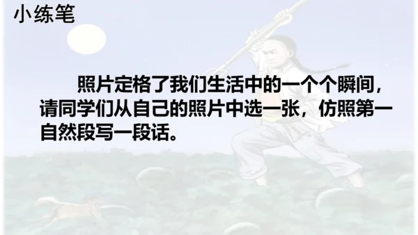 第25课 《少年闰土》  课件