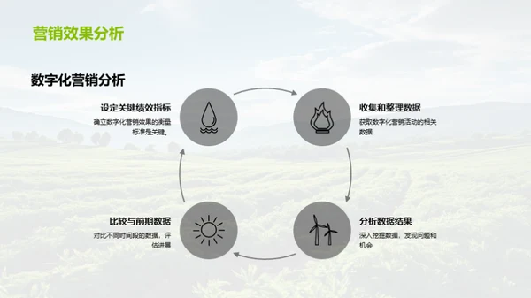 农业数字化营销全解析