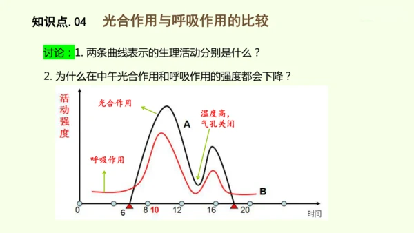 3.2.3呼吸作用-七年级生物下学期同步精品课件（2024人教版）(共24张PPT)