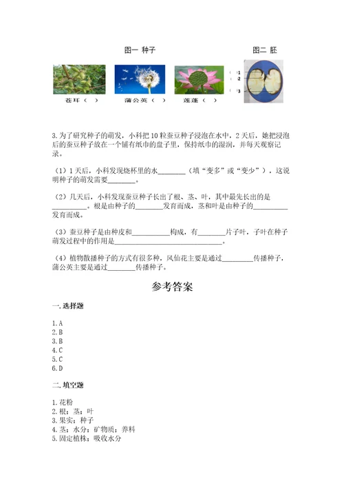 科学四年级下册第一单元植物的生长变化测试卷及参考答案能力提升