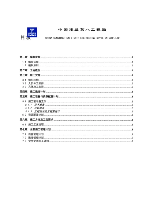 散水综合标准施工专业方案.docx