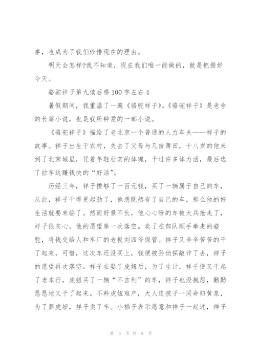 骆驼祥子第九读后感100字左右5篇.docx