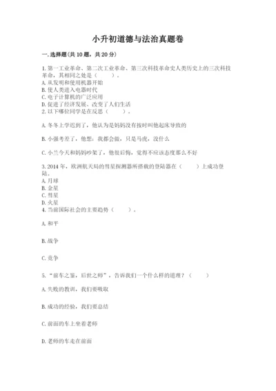 小升初道德与法治真题卷精品(典型题).docx