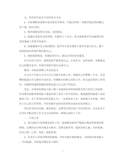 精编之试用期工作总结写法及范文.docx